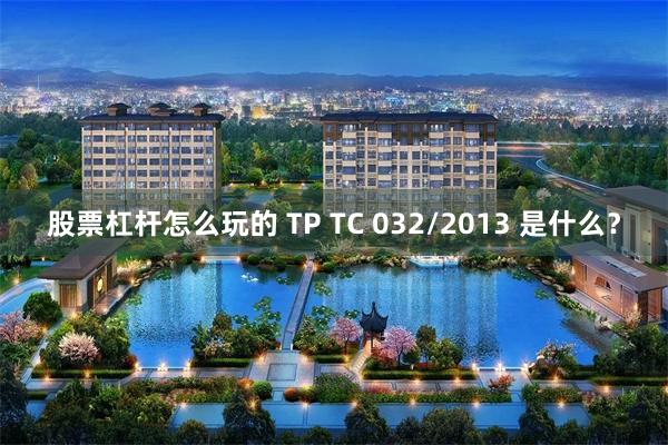股票杠杆怎么玩的 TP TC 032/2013 是什么？
