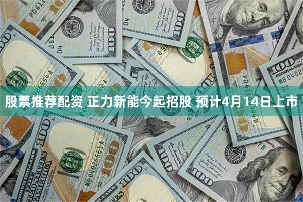 股票推荐配资 正力新能今起招股 预计4月14日上市