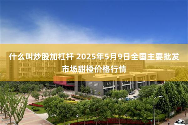 什么叫炒股加杠杆 2025年5月9日全国主要批发市场甜橙价格行情