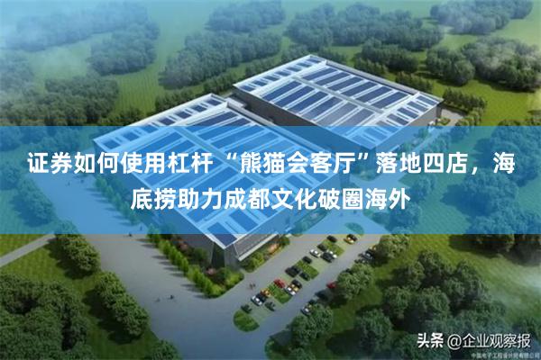 证券如何使用杠杆 “熊猫会客厅”落地四店，海底捞助力成都文化破圈海外