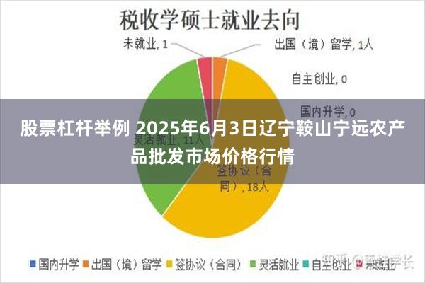 股票杠杆举例 2025年6月3日辽宁鞍山宁远农产品批发市场价格行情