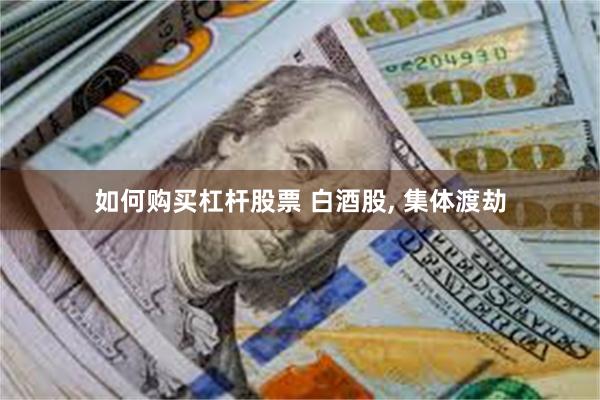 如何购买杠杆股票 白酒股, 集体渡劫