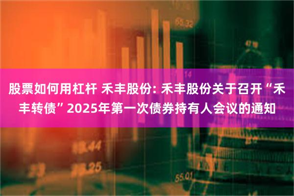 股票如何用杠杆 禾丰股份: 禾丰股份关于召开“禾丰转债”2025年第一次债券持有人会议的通知