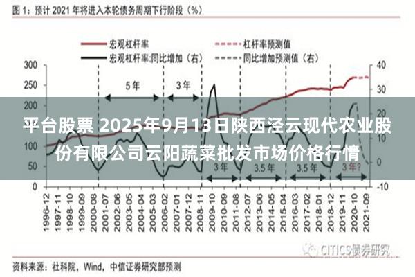 平台股票 2025年9月13日陕西泾云现代农业股份有限公司云阳蔬菜批发市场价格行情